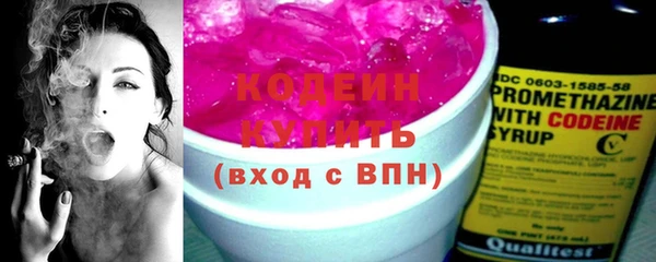 мдпв Инсар