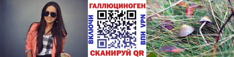 Галлюциногенные грибы GOLDEN TEACHER Павловская
