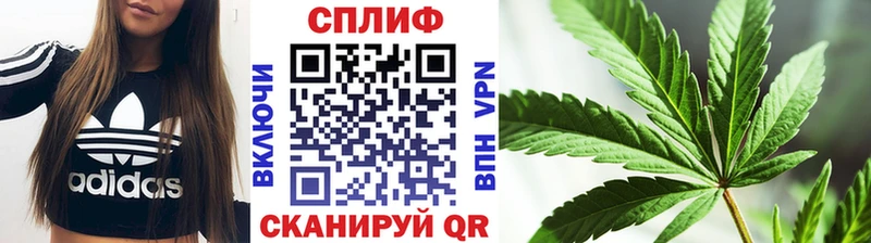 ссылка на мегу ссылка  Павловская  Бошки Шишки план 